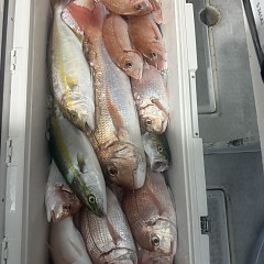 10月 11日(土)午後便・ウタセ真鯛の写真その11