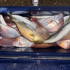 10月11日(土)午後便・ウタセマダイ釣りの写真その1