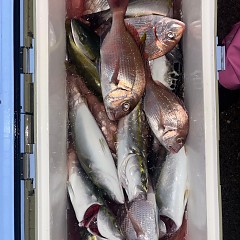 10月11日(土)午後便・ウタセマダイ釣りの写真その2