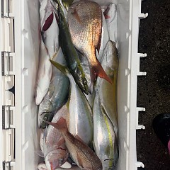 10月11日(土)午後便・ウタセマダイ釣りの写真その4