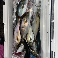 10月11日(土)午後便・ウタセマダイ釣りの写真その5