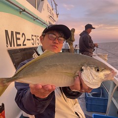 10月 12日（日）午後便・ウタセ真鯛の写真その1