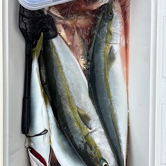 10月12日(日)午前便・タテ釣りの写真その8