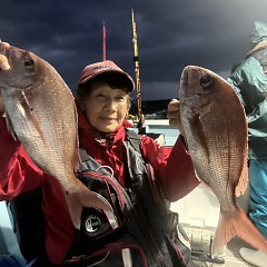 10月 14日(水)午後便・ウタセ真鯛の写真その2