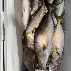 10月15日(水)午後便・ウタセマダイ釣りの写真その7