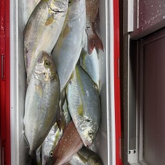 10月15日(水)午後便・ウタセマダイ釣りの写真その8