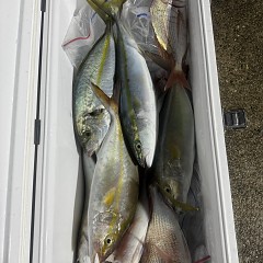 10月15日(水)午後便・ウタセマダイ釣りの写真その9