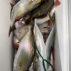 10月15日(水)午後便・ウタセマダイ釣りの写真その11