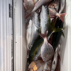 10月15日(水)午後便・ウタセマダイ釣りの写真その12