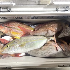 10月 16日(木)午後便・ウタセ真鯛の写真その4