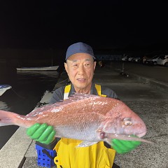 10月 16日(木)午後便・ウタセ真鯛の写真その6