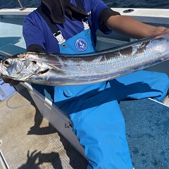 10月 17日(金)午前便・タチウオ釣りの写真その6