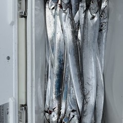 10月 17日(金)午前便・タチウオ釣りの写真その8