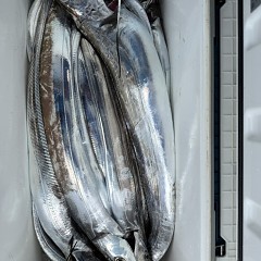 10月 17日(金)午前便・タチウオ釣りの写真その9