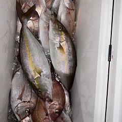 10月 17日（金）午後便・ウタセ真鯛の写真その10