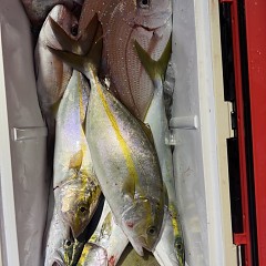 10月 17日（金）午後便・ウタセ真鯛の写真その11