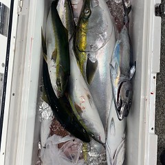 10月17日（金）午後便・ウタセマダイの写真その5