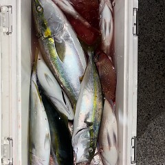 10月17日（金）午後便・ウタセマダイの写真その6