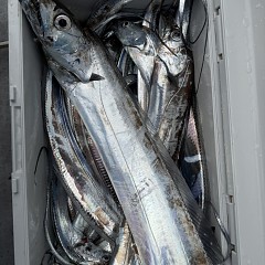 10月 18日（土）午前便・タチウオ釣りの写真その7
