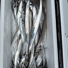 10月 18日（土）午前便・タチウオ釣りの写真その11