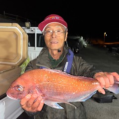10月21日（火）午後便・ウタセマダイ釣りの写真その4