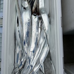10月 22日（木）午前便・タチウオ釣りの写真その6
