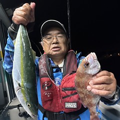 10月 23日(木)午後便・ウタセ真鯛の写真その5