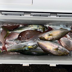 10月25日(土)午後便・ウタセマダイ釣りの写真その11