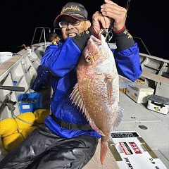 10月 26日(日)午後便・ウタセ真鯛の写真その3
