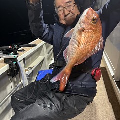 10月 26日(日)午後便・ウタセ真鯛の写真その5