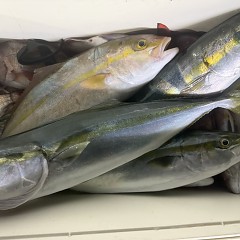 10月 28日（火）午後便・ウタセ真鯛の写真その7