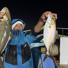 10月 29日(水)午後便・ウタセ真鯛の写真その3