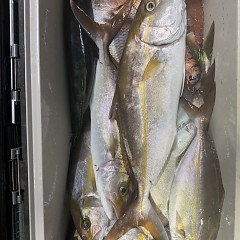 10月 29日(水)午後便・ウタセ真鯛の写真その8