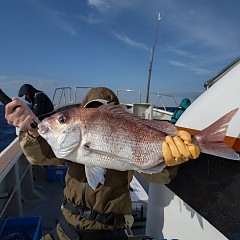 10月29日(水)午後便・ウタセマダイ釣りの写真その1