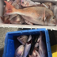 10月29日(水)午後便・ウタセマダイ釣りの写真その6