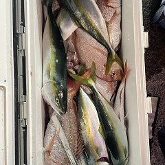 10月29日(水)午後便・ウタセマダイ釣りの写真その7