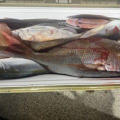 10月29日(水)午後便・ウタセマダイ釣りの写真その8