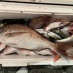 10月29日(水)午後便・ウタセマダイ釣りの写真その10