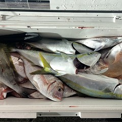 10月29日(水)午後便・ウタセマダイ釣りの写真その11