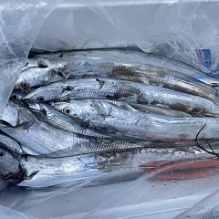 10月 30日(木)午前便・タチウオ釣りの写真その3