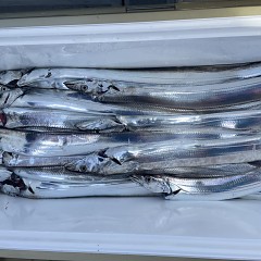 10月 30日(木)午前便・タチウオ釣りの写真その4