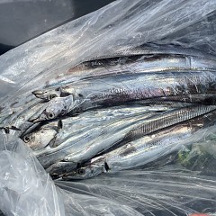 10月 30日(木)午前便・タチウオ釣りの写真その5