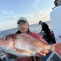10月 30日(木)午後便・ウタセ真鯛の写真その2