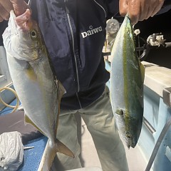 10月 30日(木)午後便・ウタセ真鯛の写真その4