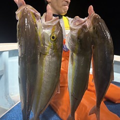 10月 30日(木)午後便・ウタセ真鯛の写真その5