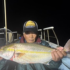 10月 30日(木)午後便・ウタセ真鯛の写真その7