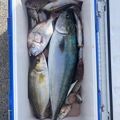 10月30日(木)午前便・タテ釣り・午後便・ウタセマダイ釣りの写真その1