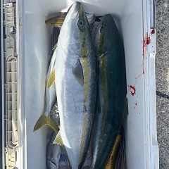 10月30日(木)午前便・タテ釣り・午後便・ウタセマダイ釣りの写真その3