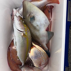 10月30日(木)午前便・タテ釣り・午後便・ウタセマダイ釣りの写真その4