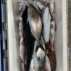 10月30日(木)午前便・タテ釣り・午後便・ウタセマダイ釣りの写真その5